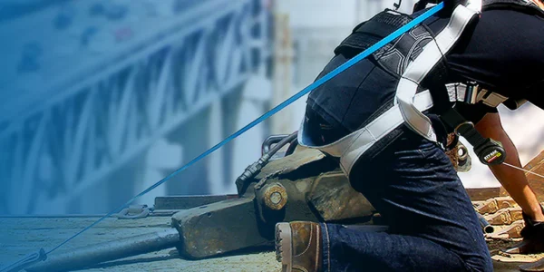 Untitled-2_aa3a8ef9-7c36-4e30-bacc-2e77c34332f3